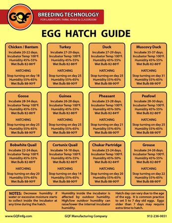 hatch guide